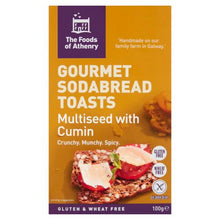 Load image into Gallery viewer, The Food of Athenry Gourmet Sodabread Toasts 100g Meats &amp; Eats
