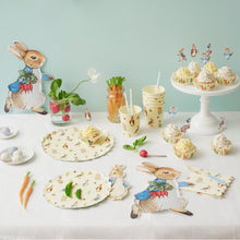 Load image into Gallery viewer, Meri Meri Peter Rabbit Party Picks, x12