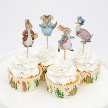 Load image into Gallery viewer, Meri Meri Peter Rabbit Party Picks, x12