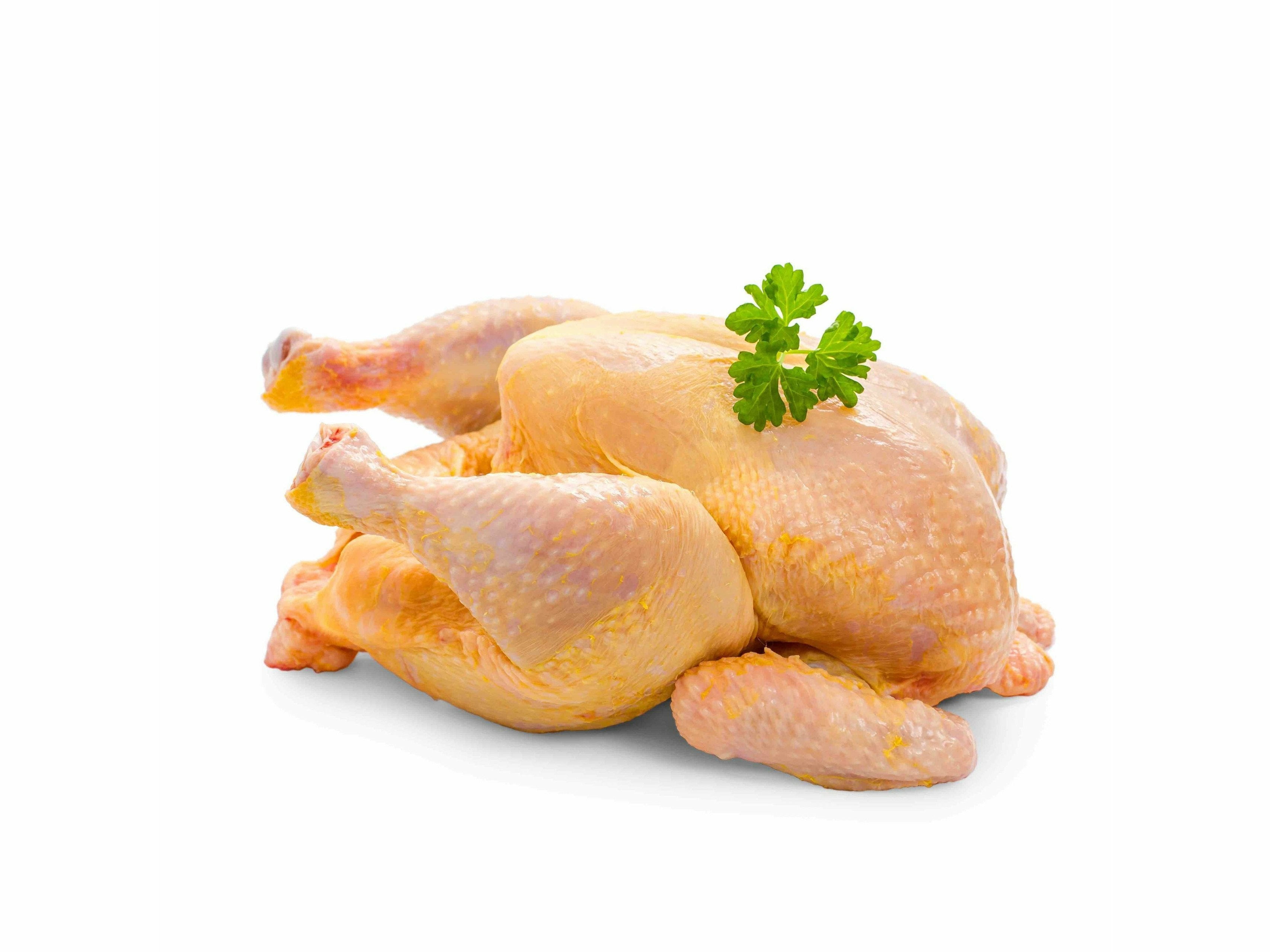 fresh-whole-corn-fed-chicken-meats-and-eats