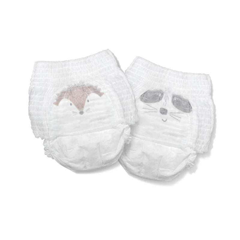 Kit & Kin Eco Nappy Pants Size 6 Raccoon & Hedgehog 15kg+, X 18 - Shop ...