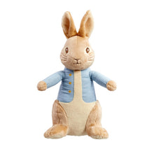 Load image into Gallery viewer, Large Peter Rabbit Soft Toy Once Upon a Time
