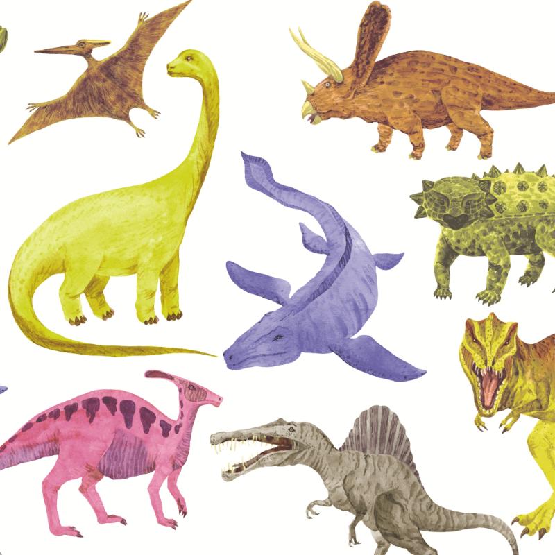 Paper + Design Dino Land X 20