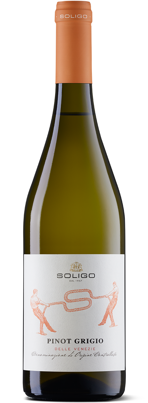 Soligo Pinot Grigio delle Venezie DOC 2022 Meats & Eats