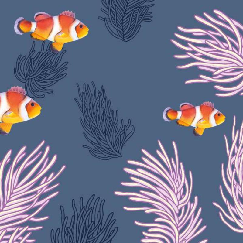Paper + Design Clown Fishes, X 20