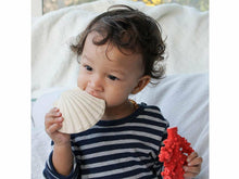 Load image into Gallery viewer, Lanco Concha Clam Shell Teether &amp; Bath Toy Meats &amp; Eats
