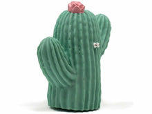 Load image into Gallery viewer, Lanco Frijolito the Cactus Teether &amp; Bath Toy Meats &amp; Eats

