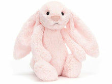 Load image into Gallery viewer, Bashful Pink Bunny - Meats And Eats
