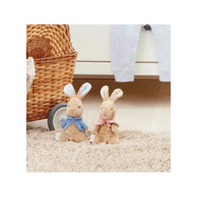 Load image into Gallery viewer, Flopsy Bunny Small Soft Toy
